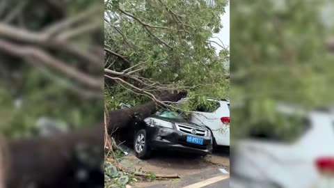 Typhoon Kajikis Path of Destruction China Vietnam Thailand
