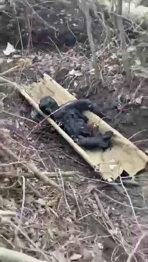 Ukraine war combat footage 9/17/25