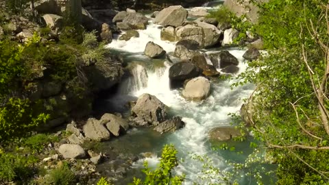 GUIDED MEDITATION for Healing Anxiety, Panic & Stress