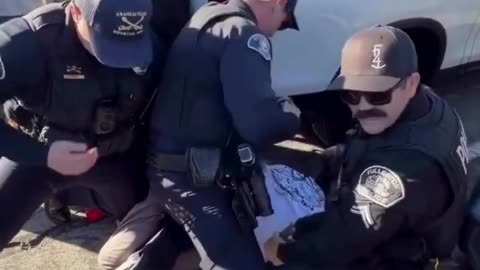 Illegal captures by bystanders