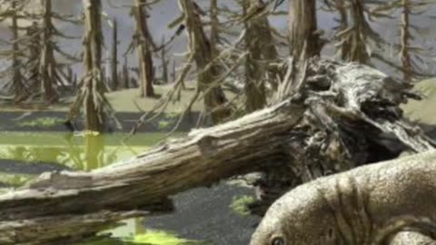 Disturbing facts about animals that lived recently you never knew