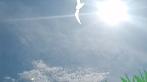 sunshine vibes ☀️ + emoji fun