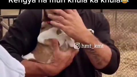 Waiting for end 😁🤣#funny #funnymemes #funnyvideos #comedy #viral #viralreels #viralvideos #trending