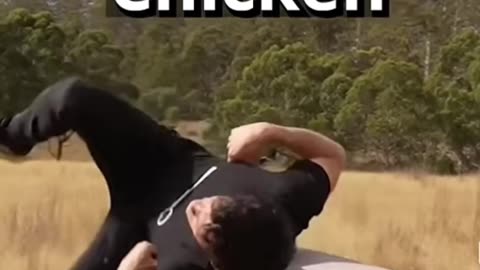 If animals do ASMR 😂🤣