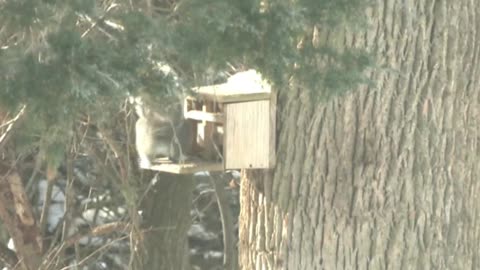 ADDUM wants Car Tax Relief and Discusses Mara-Igloo Takeover