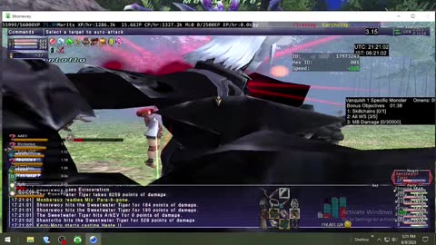 Playing Final Fantasy XI Online