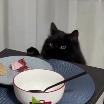 I just took it for a try