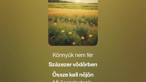 Fields of Gold (megzenésített vers)