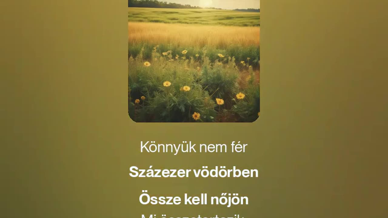 Fields of Gold (megzenésített vers)