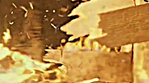 Steve and Nancy kill Vecna