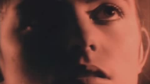 Style Council - Promised Land