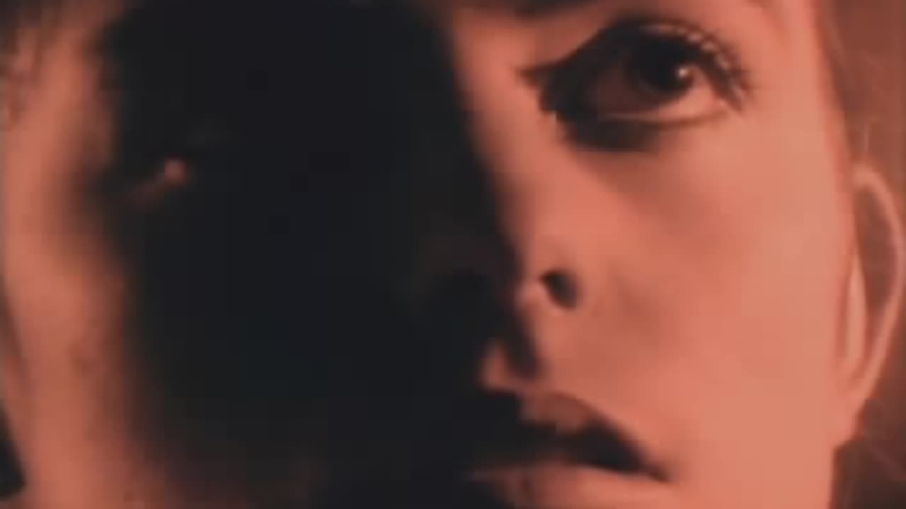 Style Council - Promised Land