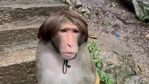 😂😂 Bro Doesn't Mind Cosplaying a Random Guy! | FunFM