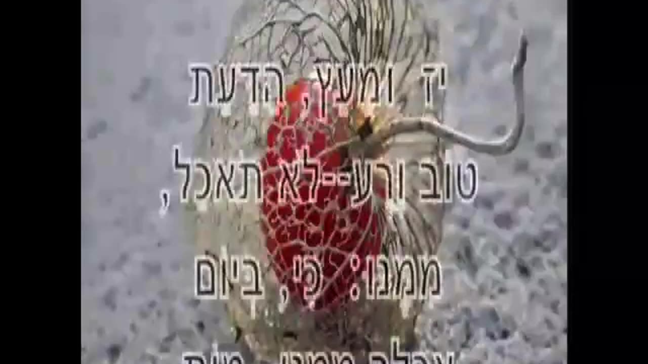 🤔🧿 The Most Bizarre Video You’ll Ever See... | TheHauntingHour