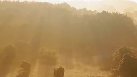 Daily Horoscope | Pisces 🌟