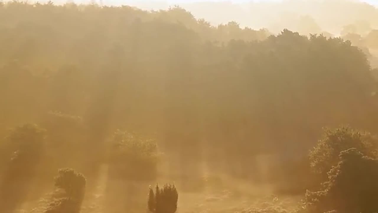 Daily Horoscope | Pisces 🌟