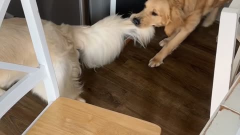 He's the Middle Child