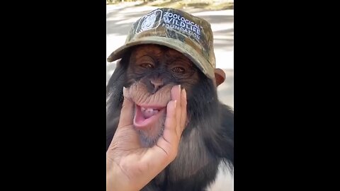Funny jokes compilation #1