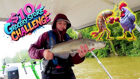 $10 Grocery Store Catfish Bait Challenge: Shrimp vs Chicken