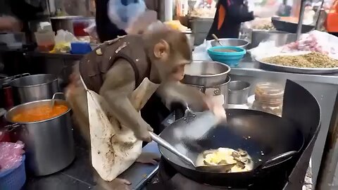 Funny Videos
