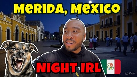 Late Night IRL in Merida, Mexico! 🇲🇽 (Attacked By Dogs?) 😂