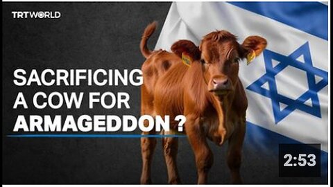 "Jewish Prophecy of Replacing Al Aqsa with Sacrificed Red Cows"