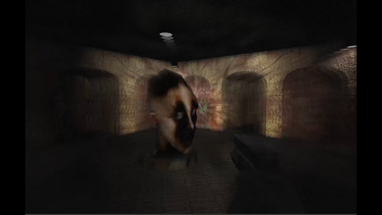 THE HALLUCINATIONS ARE KICKING IN! Cry of Fear Part 10