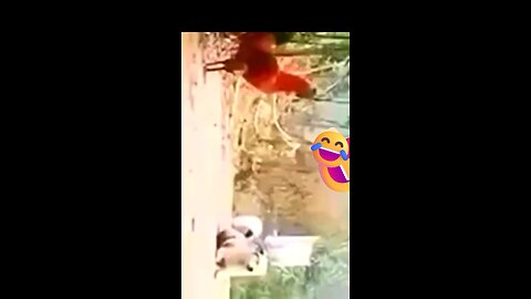 effect of company 🐕🤣#funnydog, #dogfails,