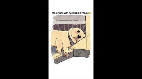 Police dog was caught sleeping
