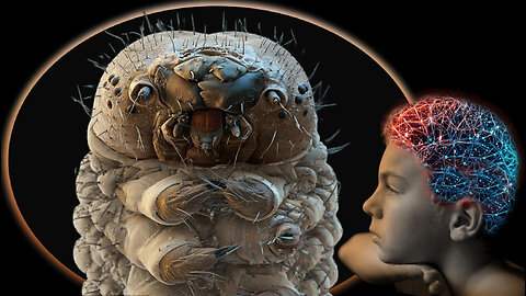Mind Over Matter