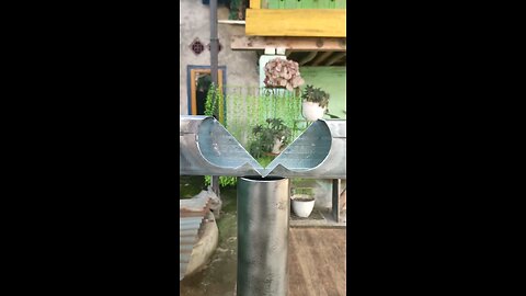 kbkbkbo