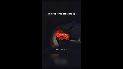 dinossauros is coming...dun run