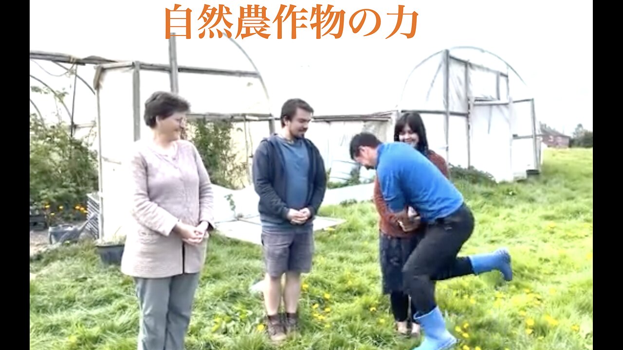 自然農作物の力