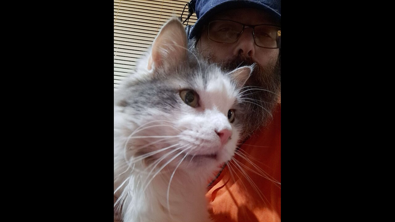 Sunday Afternoon Fun Time!