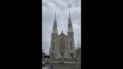 Notre Dame Cathedral Basilica