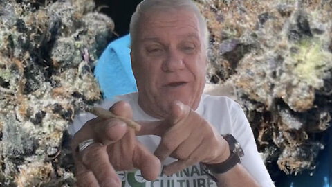 The THC Show with Glenn Wells: Episode 304