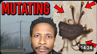Hydra-Like Creature Found in Child’s Vomit? Fog Returns Silently