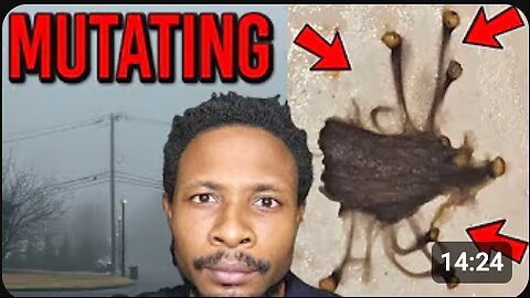 Hydra-Like Creature Found in Child’s Vomit? Fog Returns Silently