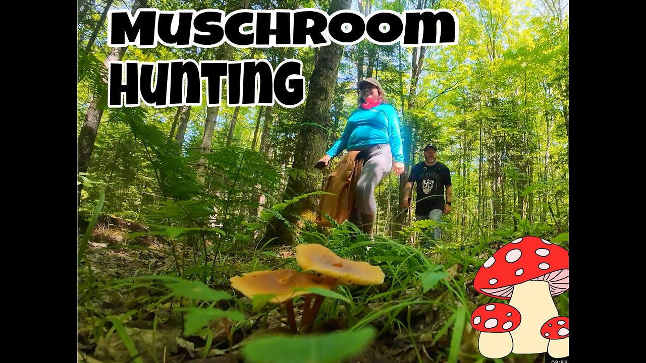 Hunting for mushrooms and water falls with my boyfriend