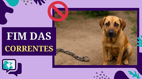 São Paulo proíbe acorrentar cães e gatos