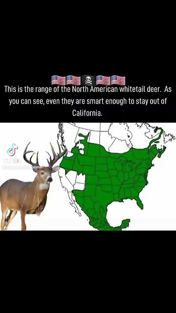 North American Whitetail deer is the smartest of the deer