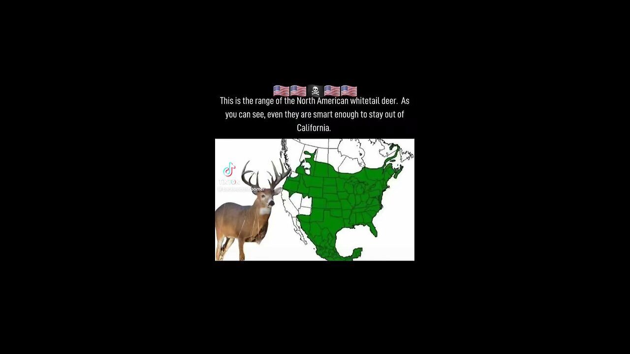 North American Whitetail deer is the smartest of the deer