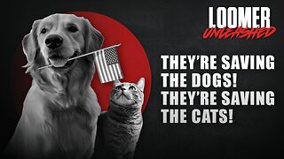 EP124: They're Saving The Dogs! They're Saving The Cats!