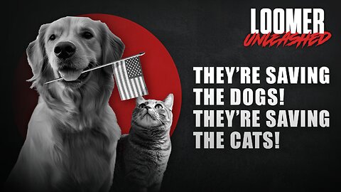 EP124: They're Saving The Dogs! They're Saving The Cats!