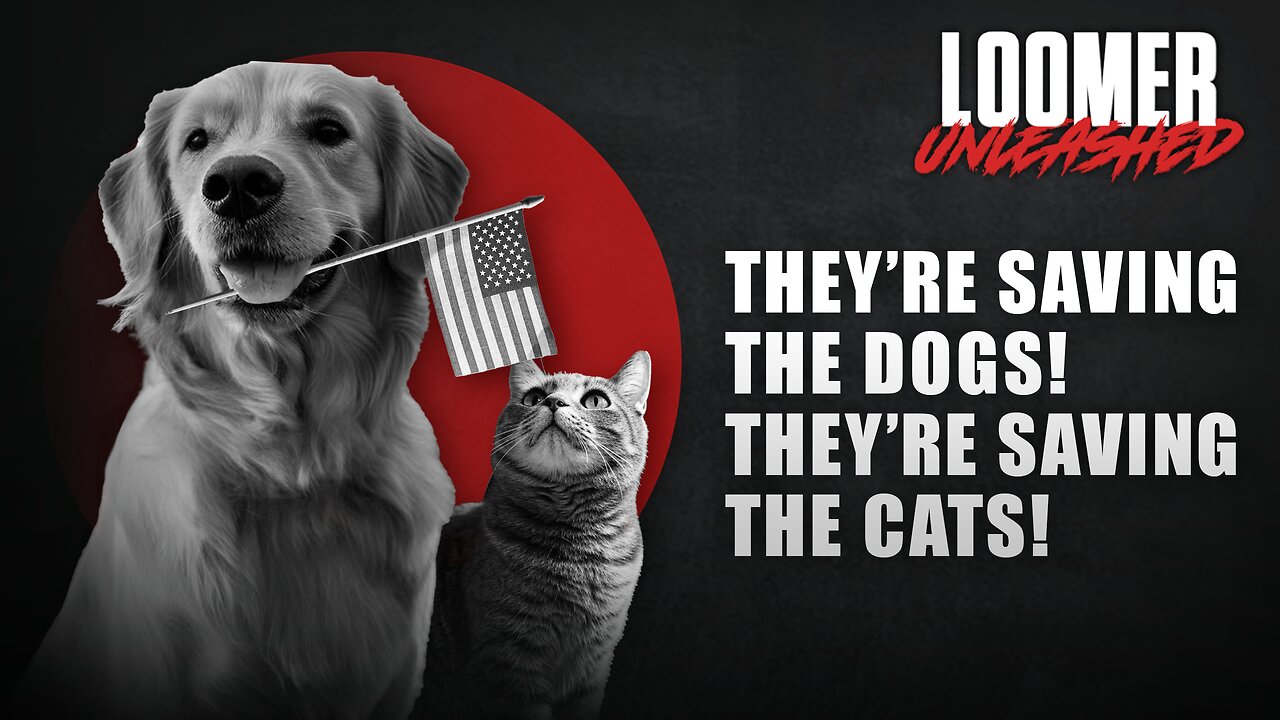 EP124: They're Saving The Dogs! They're Saving The Cats!
