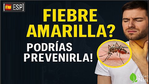 ES - Fiebre Amarilla: Cómo Reforzar tu Inmunidad de Forma Natural