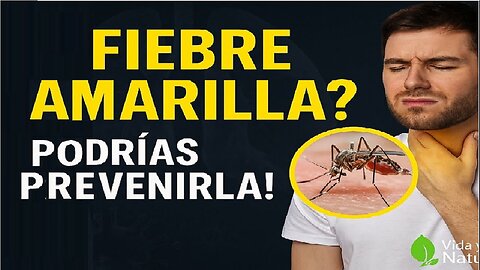 ES - Fiebre Amarilla: Cómo Reforzar tu Inmunidad de Forma Natural