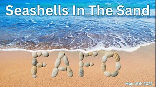 Seashells In The Sand