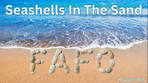 Seashells In The Sand