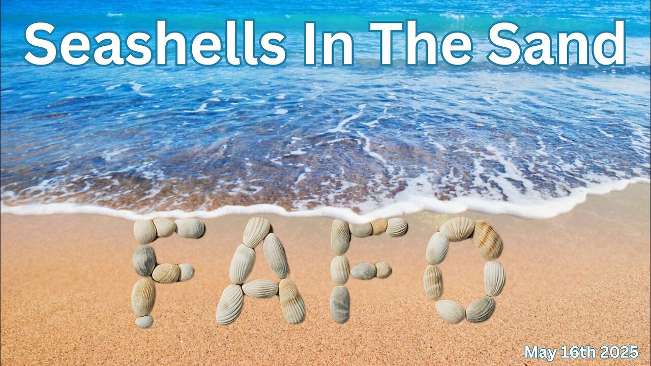 Seashells In The Sand